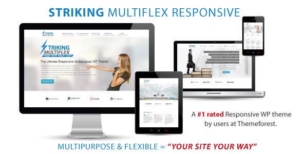 Striking MultiFlex nulled theme